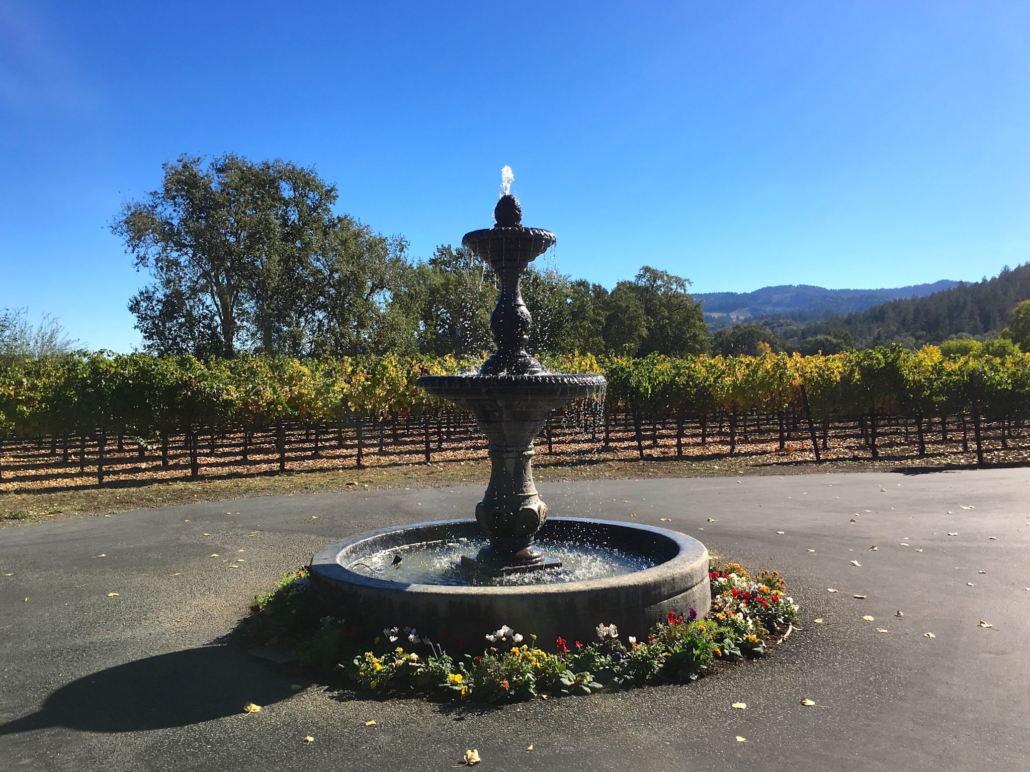 Bennett Lane Winery – Daniel Mangin