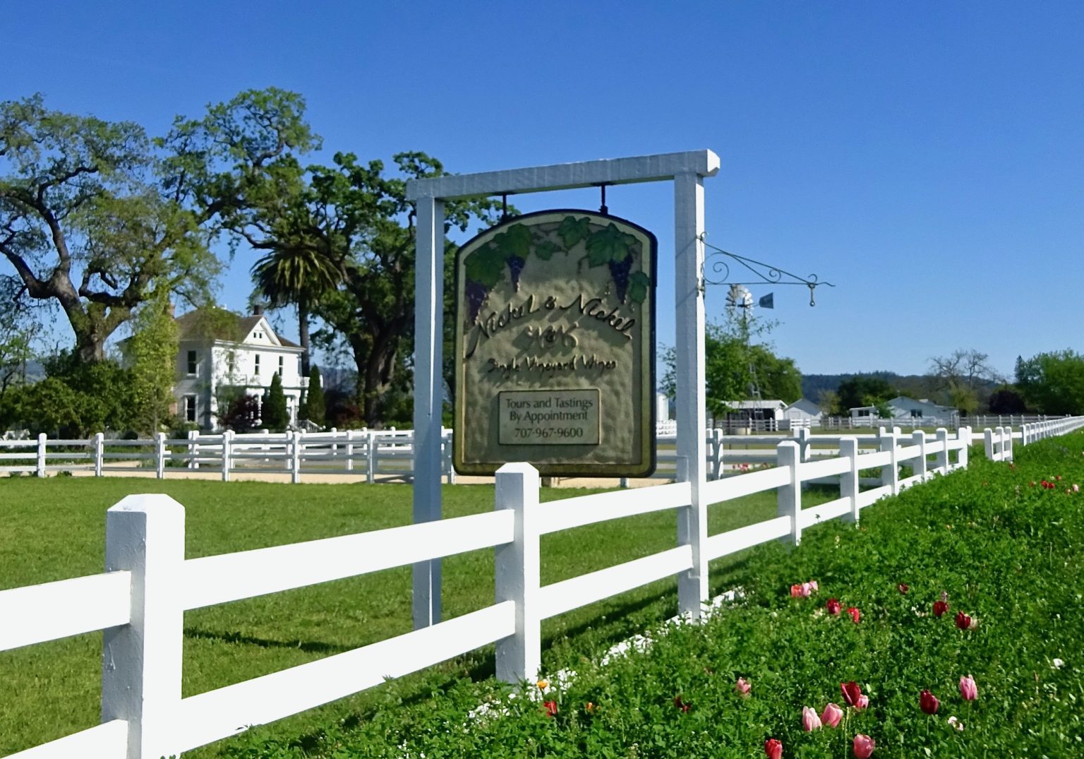 Nickel & Nickel Daniel Mangin